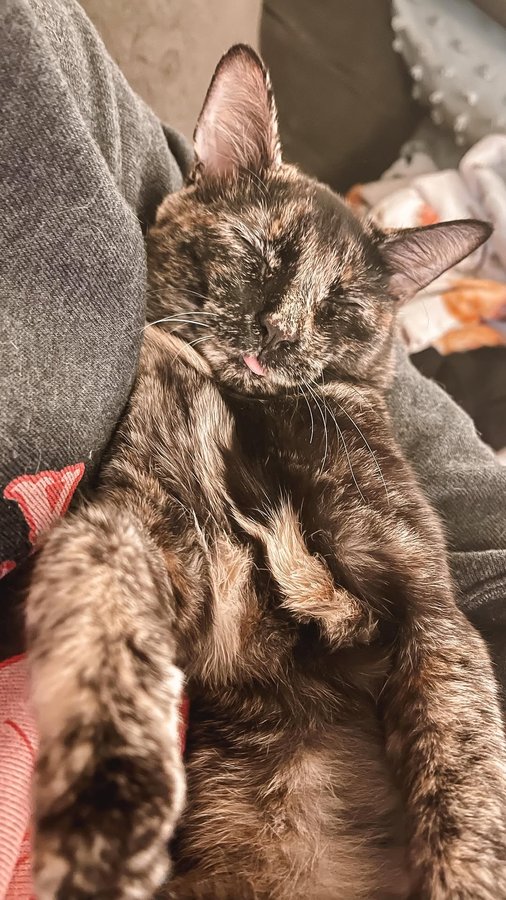 Instagram post by @xanthiajoyce for Siipet. Caption reads: I may be doomed to the title of ‘hover parent,’....