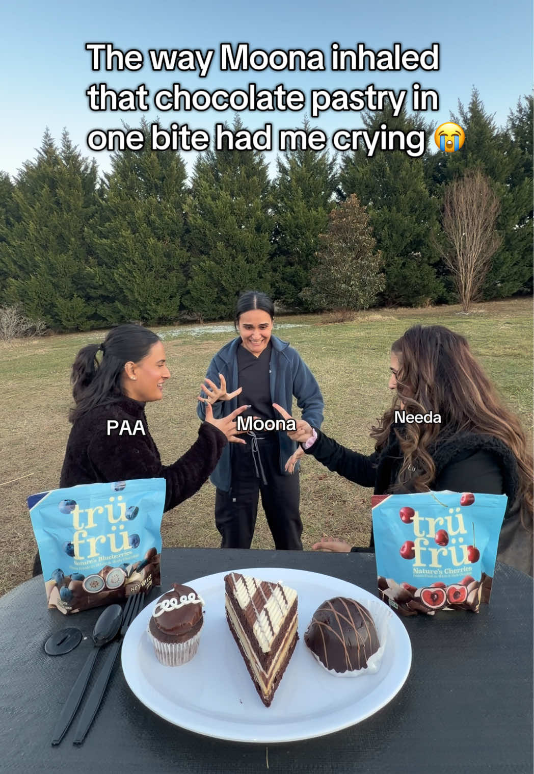 TikTok post by @sistersisterzz for Tru Fru. Caption reads: [...] @Taaabbbyy @needalivinlife @Trü Frü....