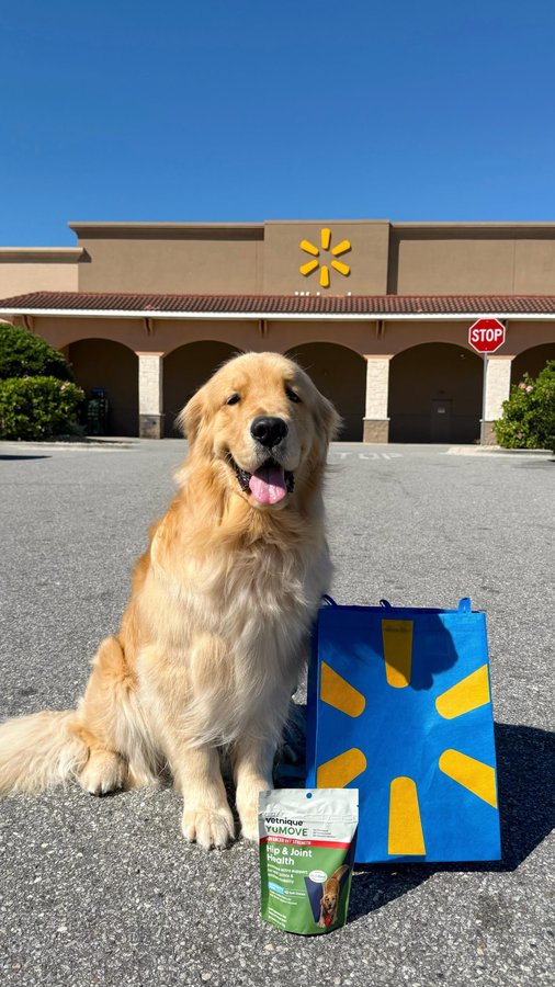 Instagram post by @reefthegolden_ for Vetnique. Caption reads: [...] always on the move. That’s why we love....