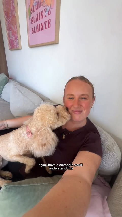 Instagram post by @elloise_fit for Hill's Pet Nutrition. Caption reads: Having a cavoodle is like having your second....