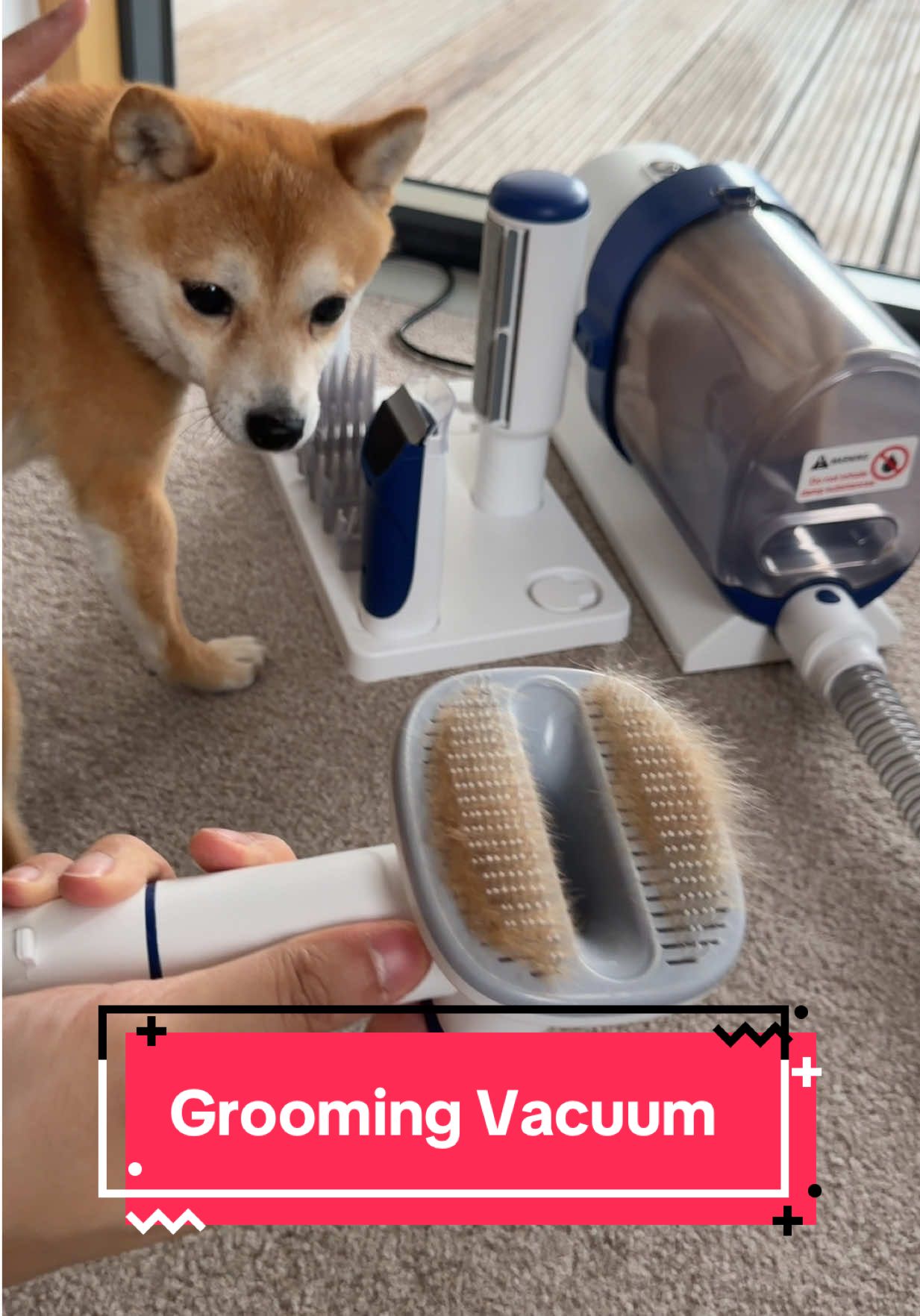 TikTok post by @umithediva for Geoorood. Caption reads: Shedding season is no joke 😅 This @GEOOROOD UK....