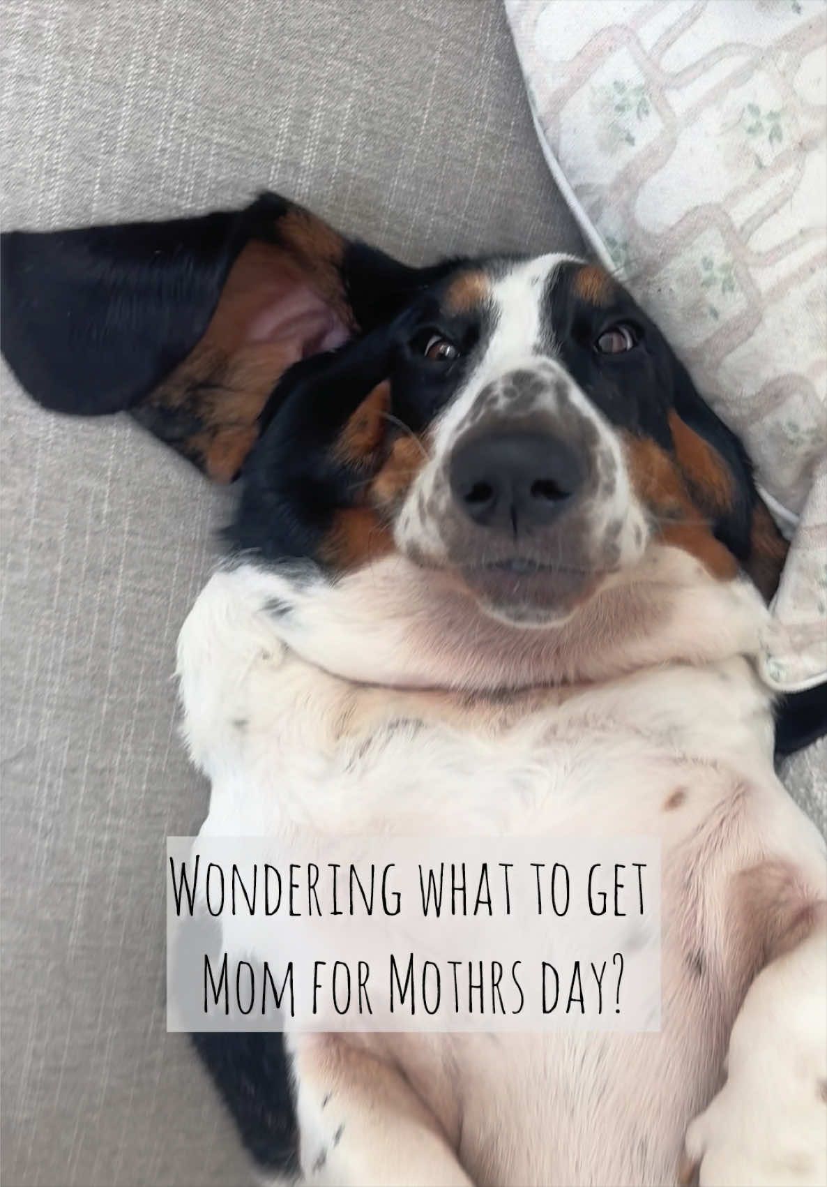 TikTok post by @billiebasset for Larleaf. Caption reads: [...] #mothersdaygiftideas #dogmom #doglover....