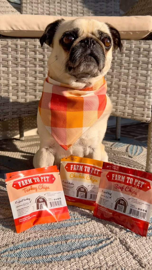 Instagram post by @calvinkleinthepugmodel for Farm to Pet. Caption reads: Thank you @farmtopet … my new snackies are simply....