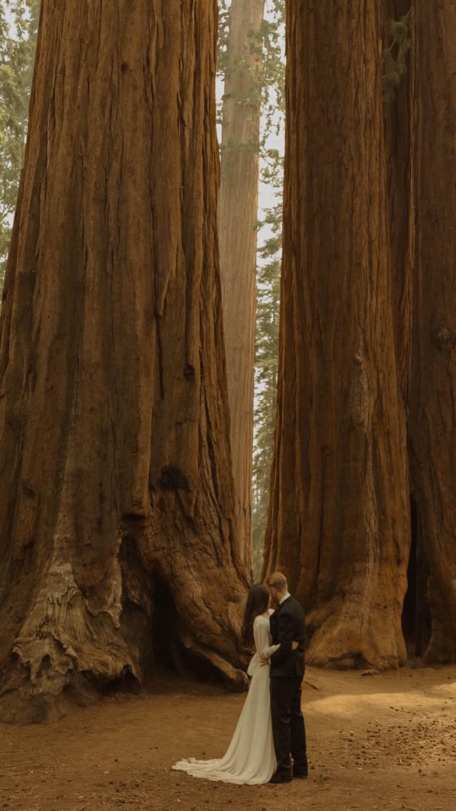Instagram post by @sierrabrookphotography for BRIDES. Caption reads: there is literalllllyyy nothin i won’t do for my....