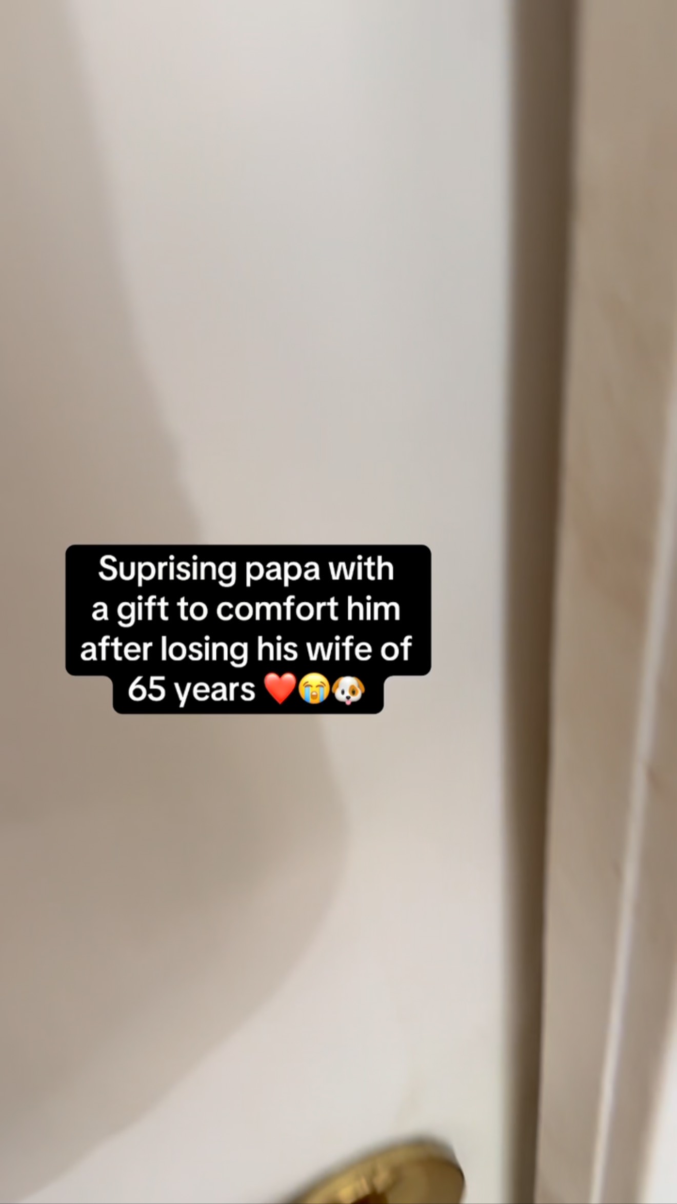 Instagram post by @thejockandbelleshow for New York Yankees. Caption reads: Jock & Bellinger (Belley) ❤️🐶 - suprised papa....