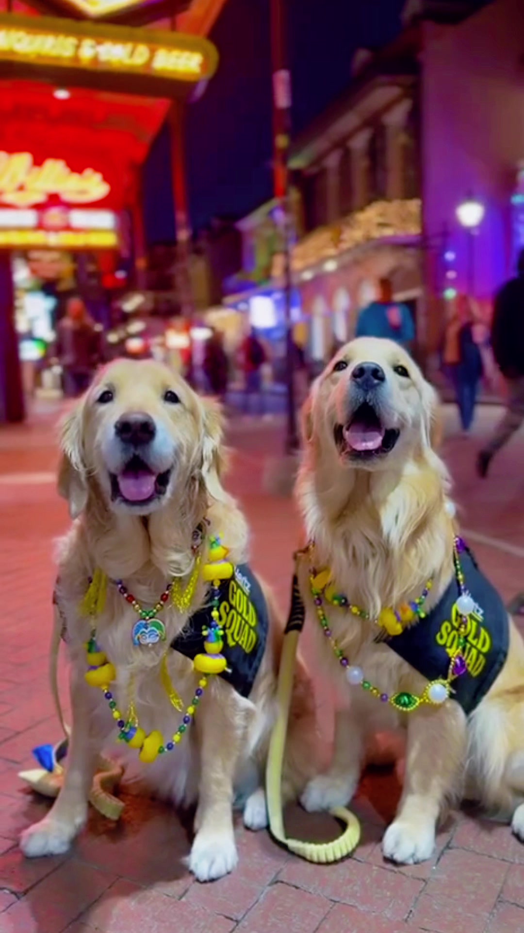 TikTok post by @it_is_a_pancake_life for Hertz. Caption reads: The @Hertz Gold Squad made their way to Mardi Gras....