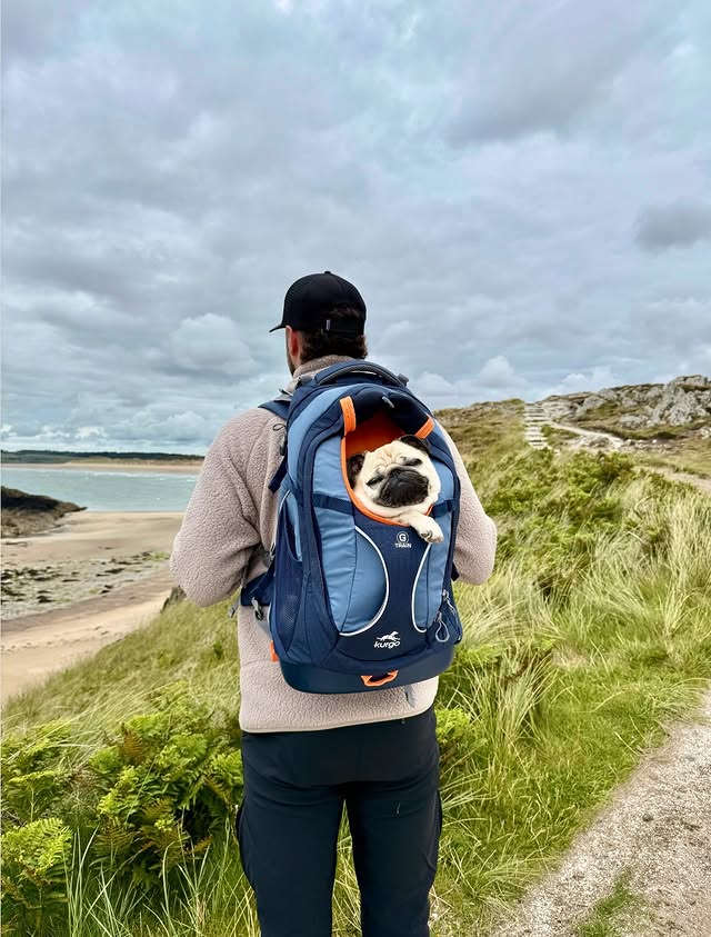 Instagram post by @lunaandwillis for Kurgo. Caption reads: [...] be more pleased with the backpack life!....