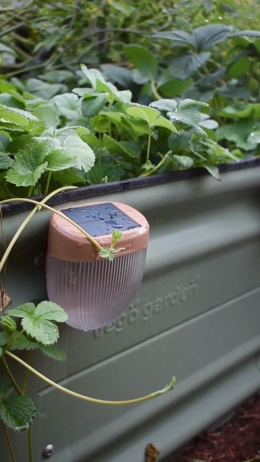 Instagram post by an influencer for Vego Garden. Caption reads: [...] to attach to your existing Vego Garden....
