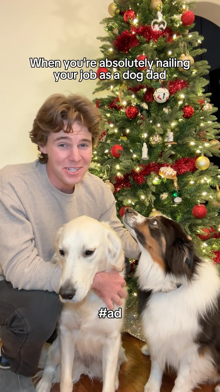 Instagram post by @mayaandhunter for Purina. Caption reads: #ad Enter the Pawlidays giveaway through the link....