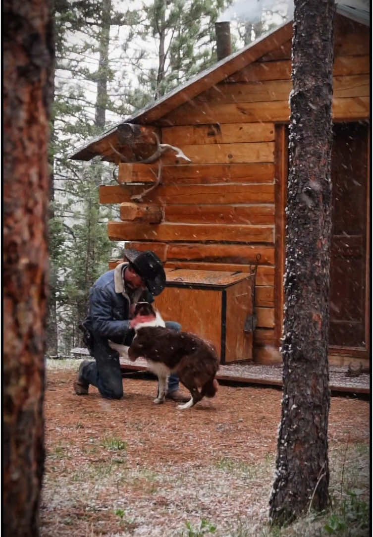 TikTok post by @colinmoody13 for Hyer Boots. Caption reads: Happy New Year y'all, and thank you to everyone....