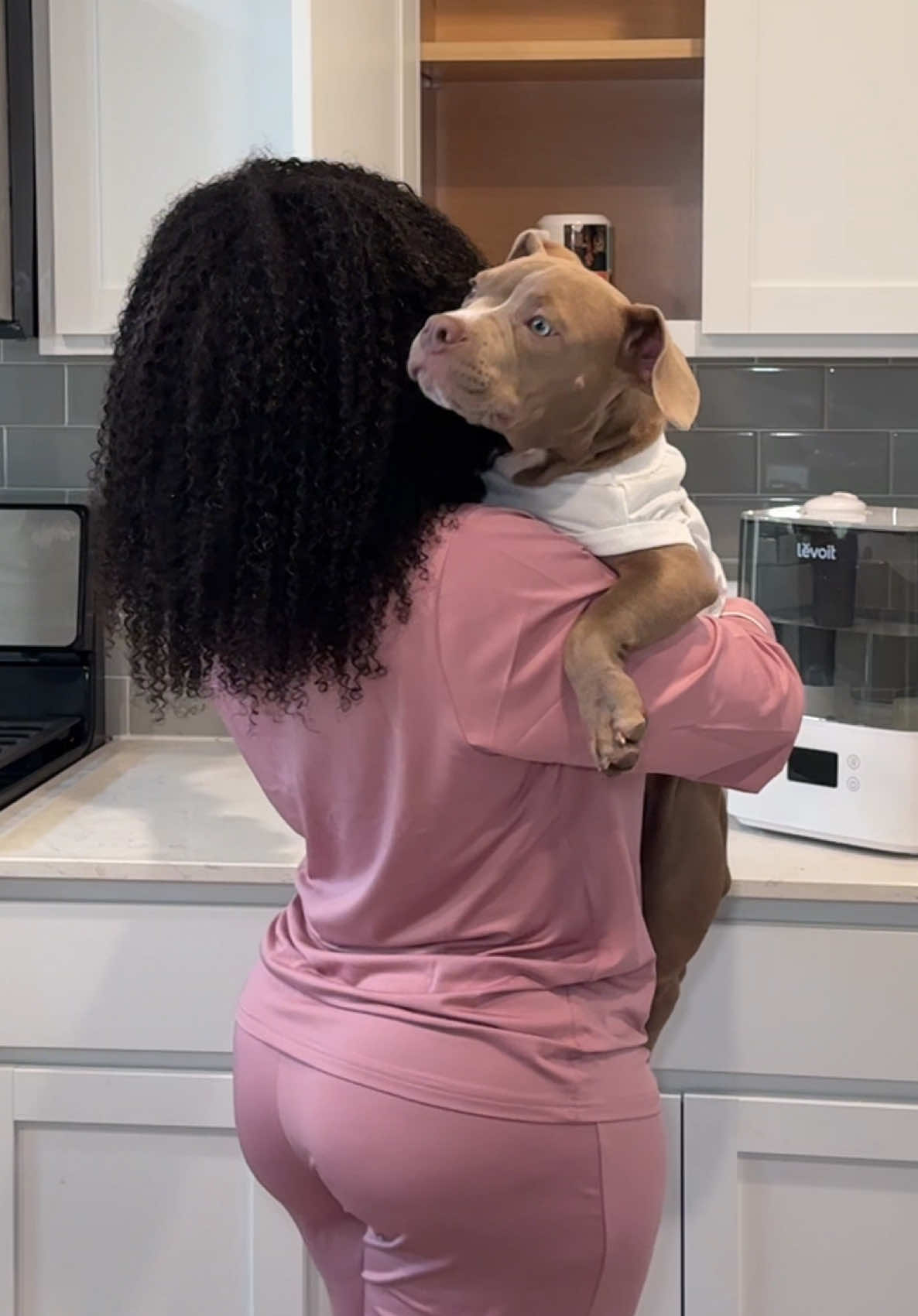 TikTok post by @reignstormpit for Levoit. Caption reads: Slow mornings feel different when the air feels....