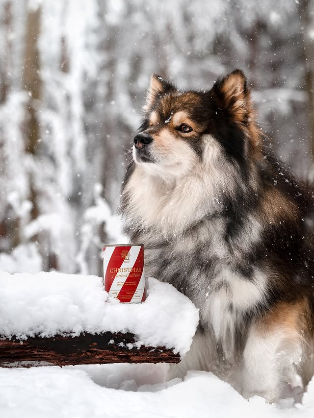 Instagram post by @aikothelappie for ESSENTIAL FOODS. Caption reads: [In collaboration with @essentialfoodsofficial]....