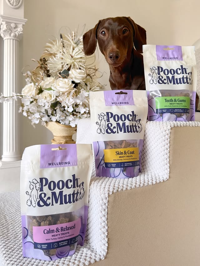 Instagram post by @frankie_dachshund03 for Pooch and Mutt. Caption reads: [...] are life!!! The MEATY TREATS from....