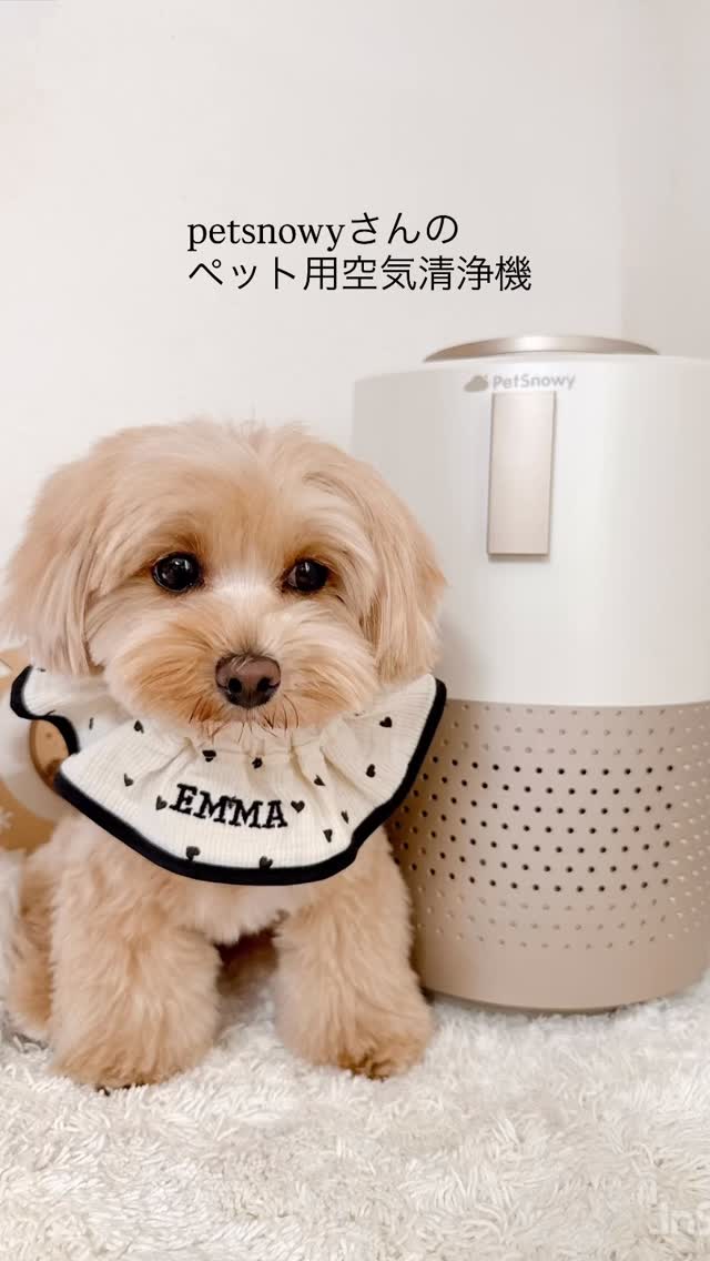 Instagram post by @iam_emma.yun for PetSnowy. Caption reads: 【petsnowyさんのペット用空気清浄機】 ペット専用ってあったかな？ [...].