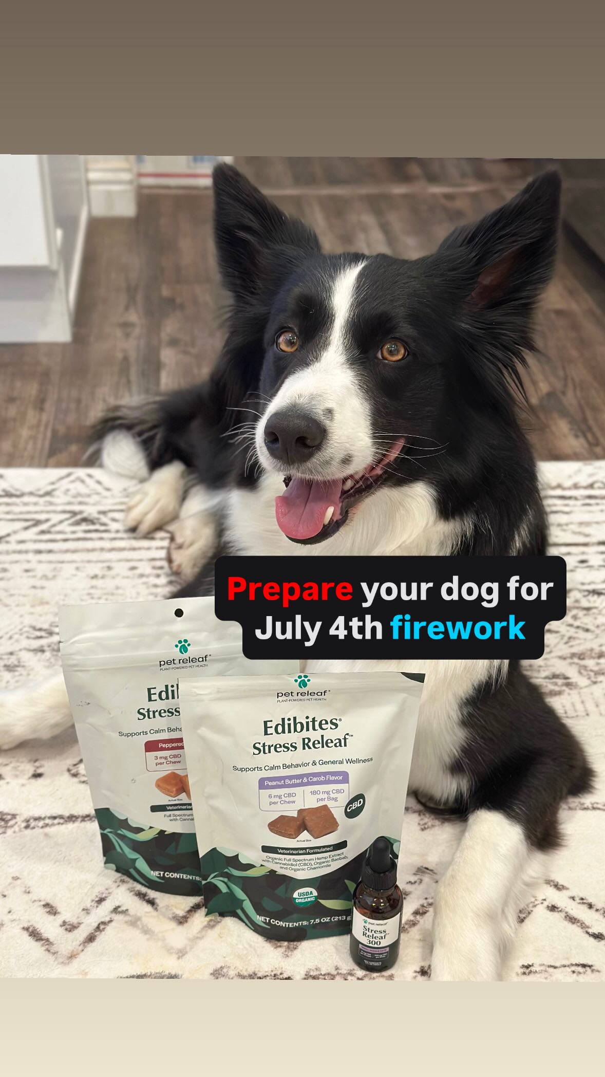 Instagram post by @zerothesupercollie for Pet Releaf. Caption reads: [...] getting ahead of it this year with....