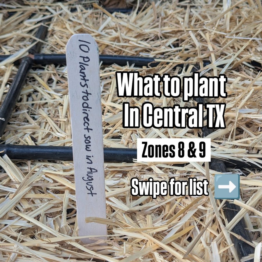Instagram post by @fromthe.garden for Epic Gardening. Caption reads: What to plant for Fall RIGHT NOW in TX! . Did you....