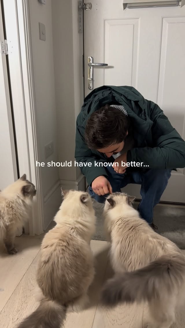 Instagram post by @buzzandposy for ACANA Petfoods. Caption reads: He should have known better… #ad
 
Catdad or food....