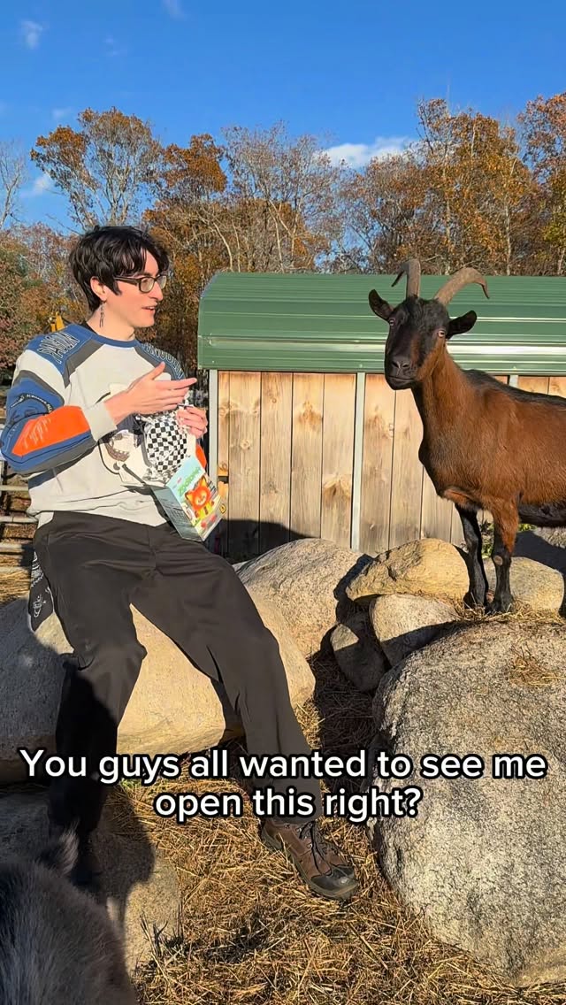 Instagram post by @nordycos for MINISO USA. Caption reads: Just got these new @miniso.official Zootopia 2....