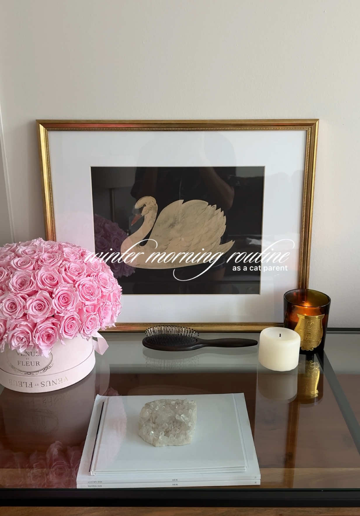 TikTok post by @nvcnicole for Litter-Robot. Caption reads: [...] routine as a cat parent ❄️☁️🐈‍⬛ ft.....