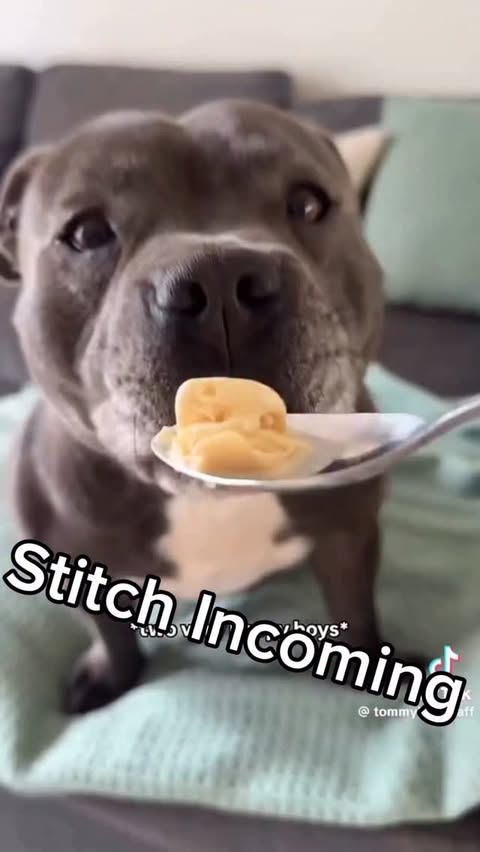 Instagram post by @jarellcarter for Ninja Kitchen. Caption reads: [...] eating ice cream from now on....