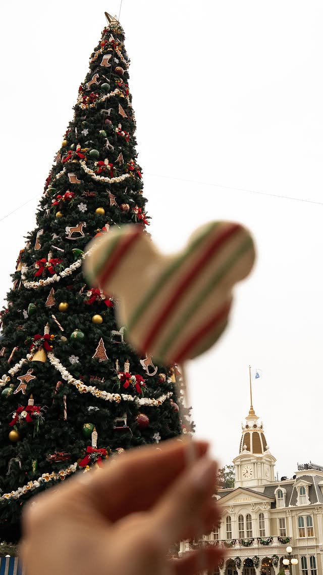 Instagram post by @jessmegan for Air Transat. Caption reads: [...] 🥹

@waltdisneyworld x @airtransat | it....