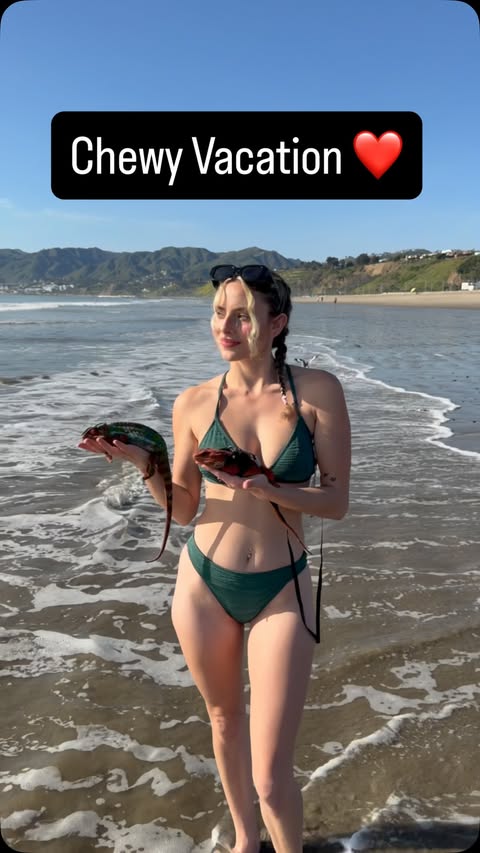 Instagram post by @thejesszoo for Chewy. Caption reads: Sprinkles’ dream vacation powered by @Chewy....