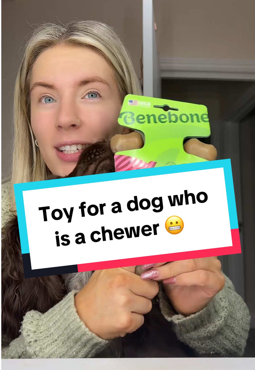 TikTok post by @littlemochimoo for Benebone. Caption reads: Sushi gives this chew toy a 10/10 😍 @Benebone....