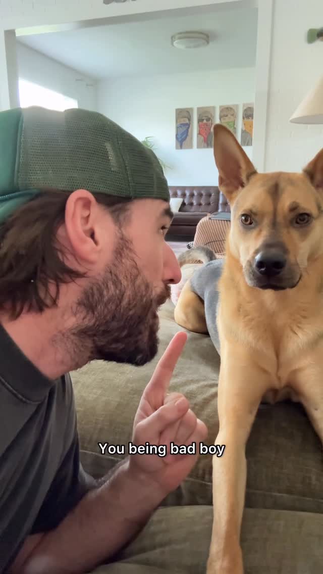 Instagram post by @cactustherescue for Open Farm Pet. Caption reads: [...] Cactus is very real 😂 Thankfully....