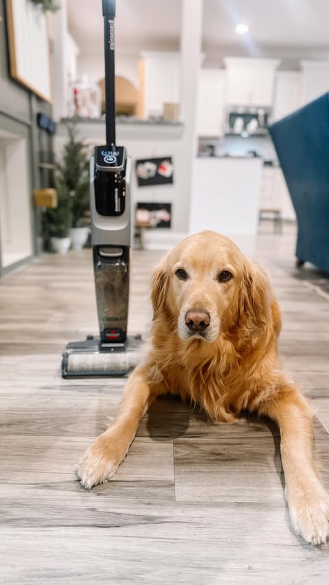 Instagram post by @kaylachristinedesign for BISSELL. Caption reads: [...] leaves behind a mess 😅 

Luckily my Bissell....