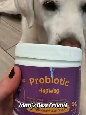 TikTok post by @kristinamartel561 for Hapwag Pets. Caption reads: Take care of your pups! @HAPWAG PETS #hapwag #dog....