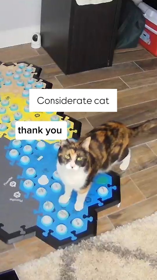 Instagram post by @elsiewants for FluentPet. Caption reads: [...] your button journey by visiting the....