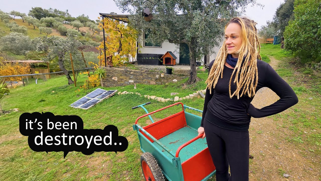 YouTube post by @theexPAWers for Reolink. Caption reads: WOW.. WHAT A SURPRISE (RETURN to our OFF GRID....