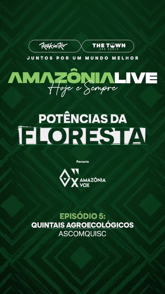 Instagram post by @thetownfestival for Heineken. Caption reads: Chegamos ao 5º episódio de Potências da Floresta,....