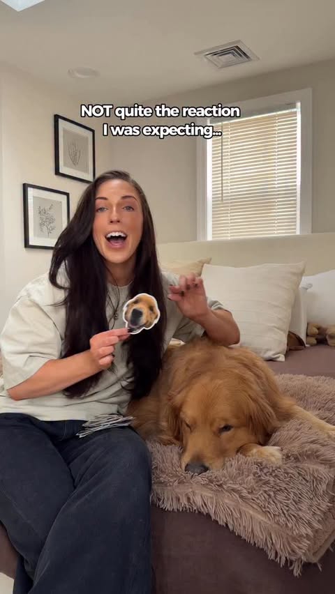 Instagram post by @wally.meets.world for Sticker Mule. Caption reads: [...] Wally into custom stickers from @stickermule....