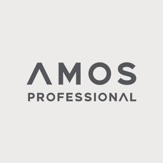 AMOS Professional