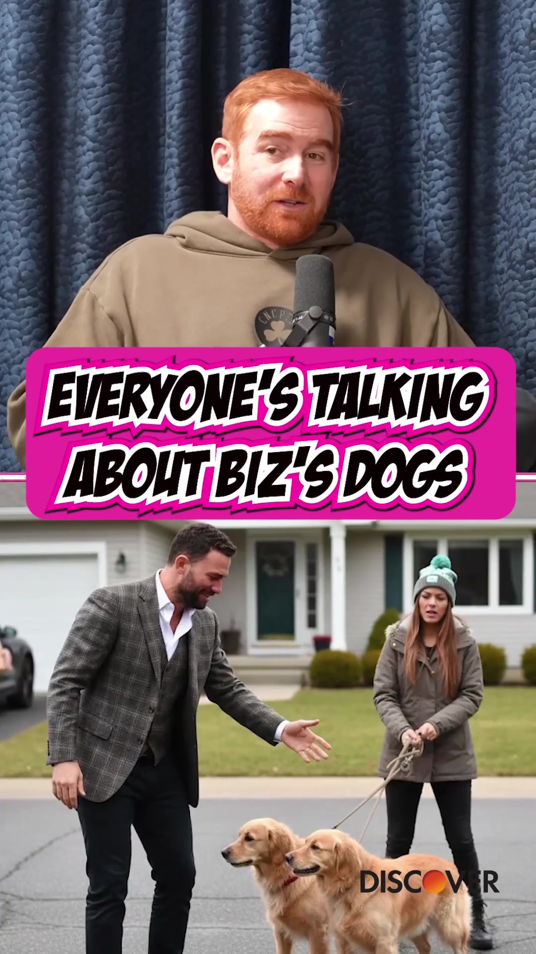TikTok post by @spittinchiclets for Discover. Caption reads: [...] is his big dog mood 😂 Presented by....