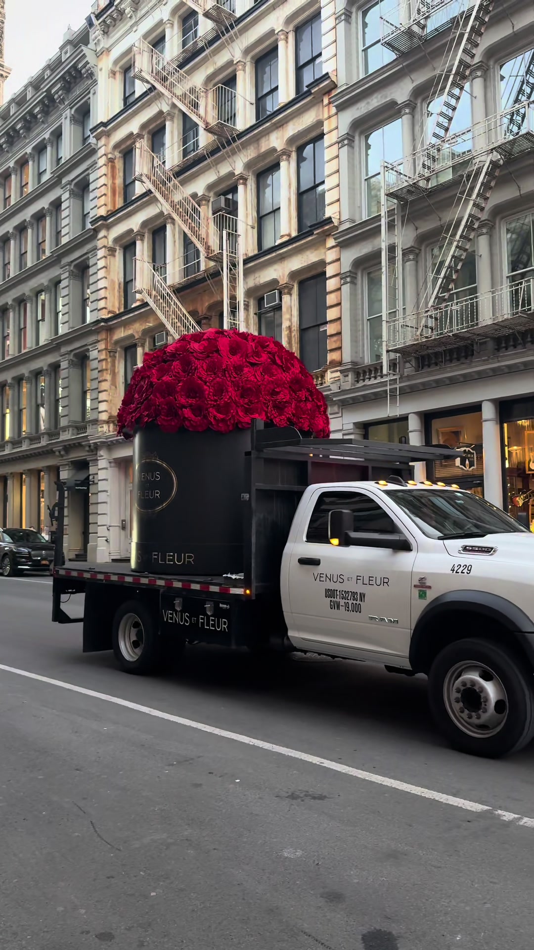 TikTok post by @r0landab for Venus et Fleur. Caption reads: [...] afternoon looks like in NYC 😍  @Venus et....