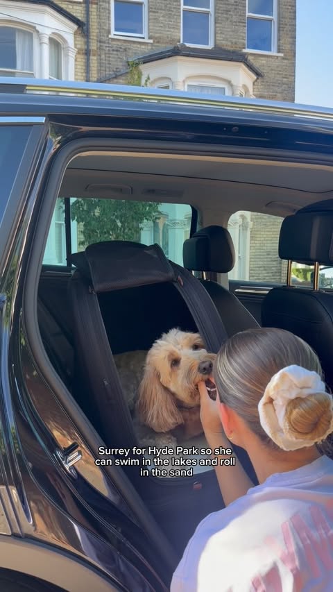Instagram post by @itsjadeandisla for Tavo Pets. Caption reads: [...] knowing she’s travelling safely in her....
