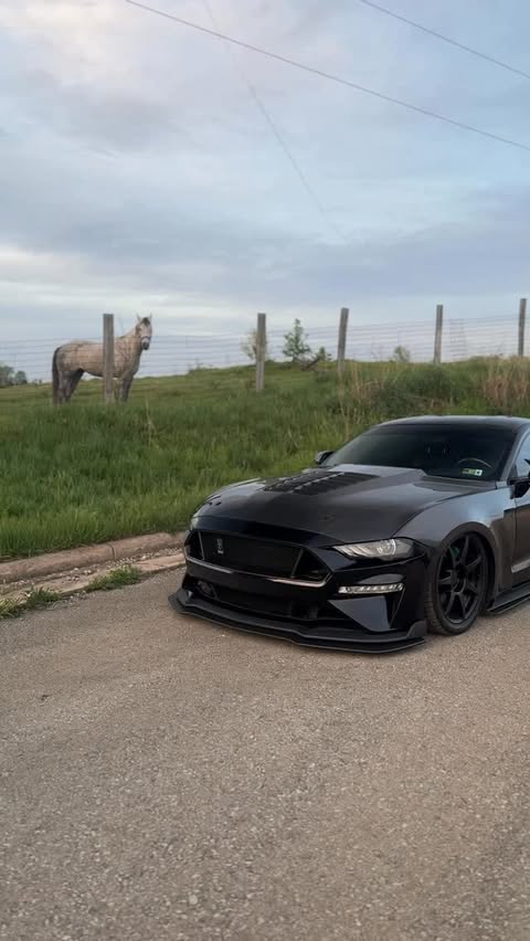 Instagram post by @mustang_access for Full Throttle Addicts. Caption reads: white mustang - - ⬇️ use code “bekahs5.0” to save....