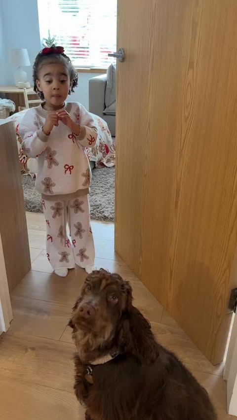 Instagram post by @lifeofalora for Pooch and Mutt. Caption reads: ad Making our own Christmas family traditions 🥹....