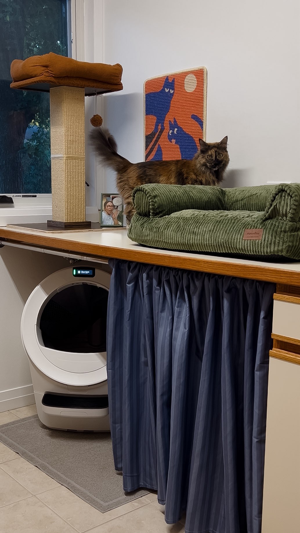 Instagram post by @perkinsonparkway for Litter-Robot. Caption reads: Redesigned a whole room just so my sister’s cat....