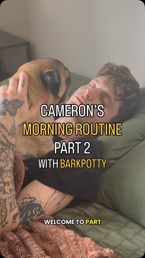 Instagram post by @cameronpug for Bark Potty. Caption reads: [...] is your dog a potty pad user? 🐶 @barkpotty....