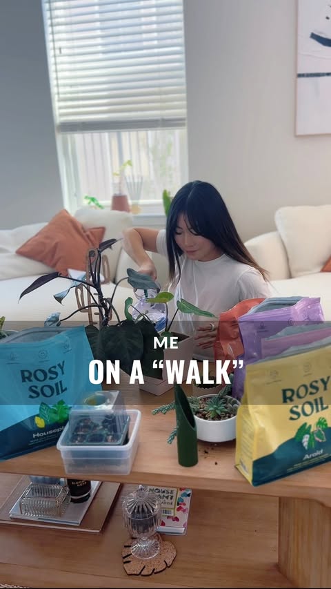 Instagram post by @ohtheplacesyoull_grow for Rosy Soil. Caption reads: [...] #plantmom #plantparent #rosysoil @rosysoil....