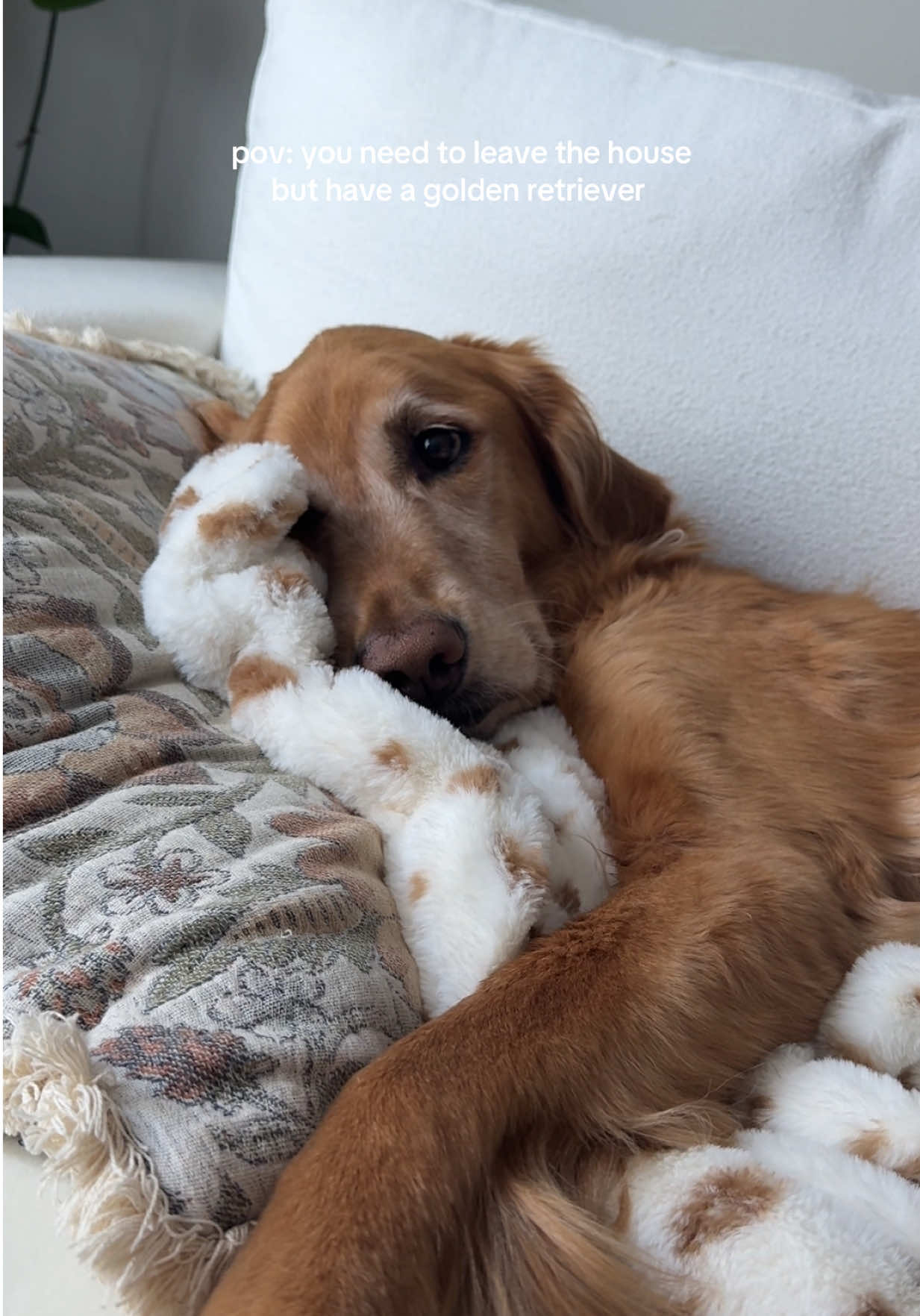 TikTok post by @mrcobywest for Soft Minky Blanket. Caption reads: takes me 3 hours to leave bc he be looking THAT....