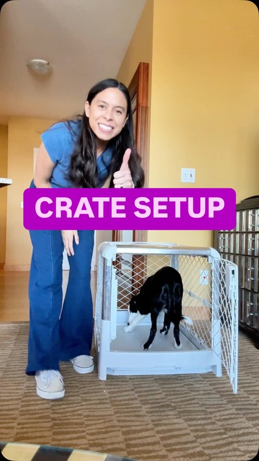 Instagram post by @rachelfusaro for Diggs. Caption reads: Easy to setup and travel with 🐾 

When you....