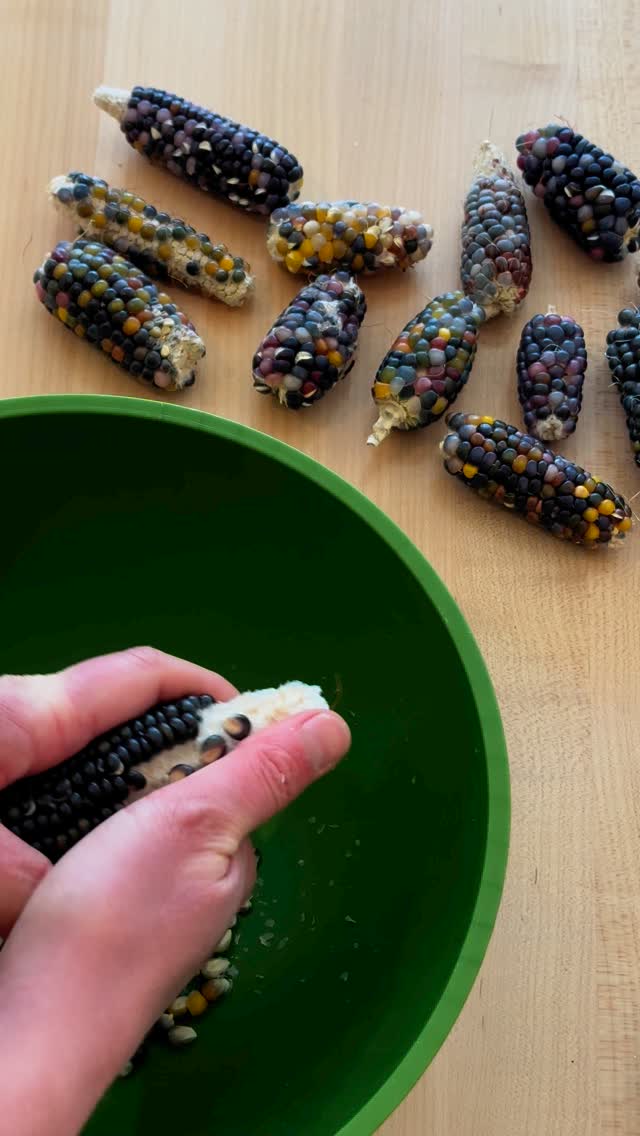 Instagram post by @girlandherdogfarm for NutriMill. Caption reads: [...] corn into cornbread 🌽🍞 Thanks to the....