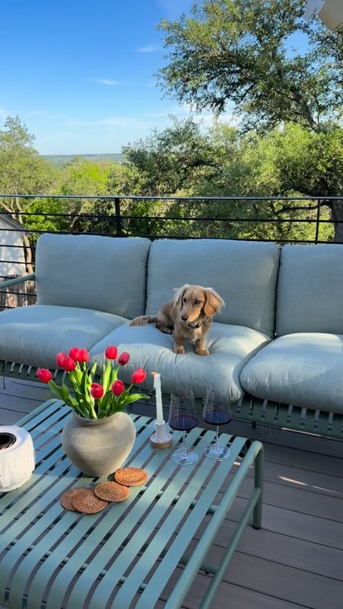 Instagram post by @desertmidmod.atx for Article. Caption reads: [...] patio furniture is now complete 💚✨ @article....