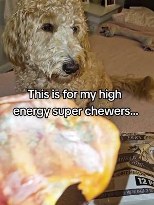 TikTok post by @charlie202306 for Mighty Paw. Caption reads: @Mighty Paw #healthydogtreats #dogmusthaves [...].