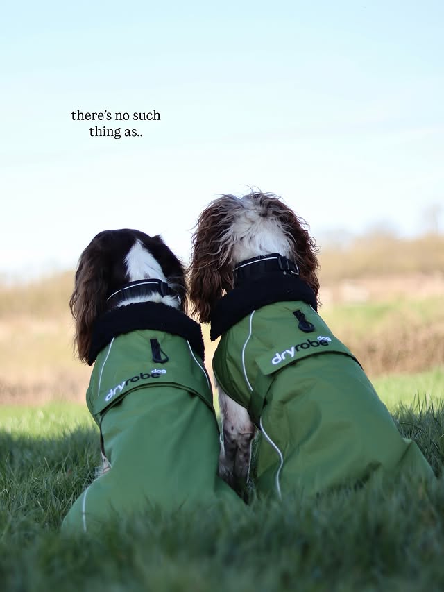 Instagram post by @roamingwitheightpaws for dryrobe. Caption reads: [...] into Spring. Boys coats and my jacket....