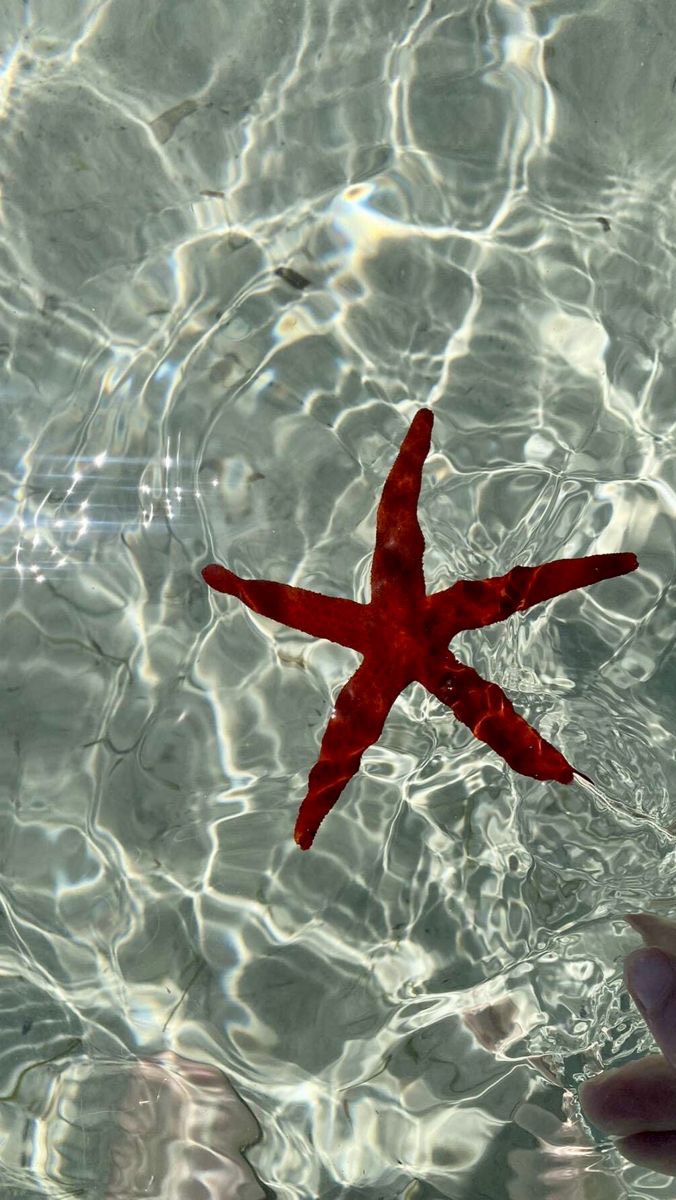 Instagram post by @lika_meno for SOJOS VISION. Caption reads: Stay tuned for the trendiest by searching and....